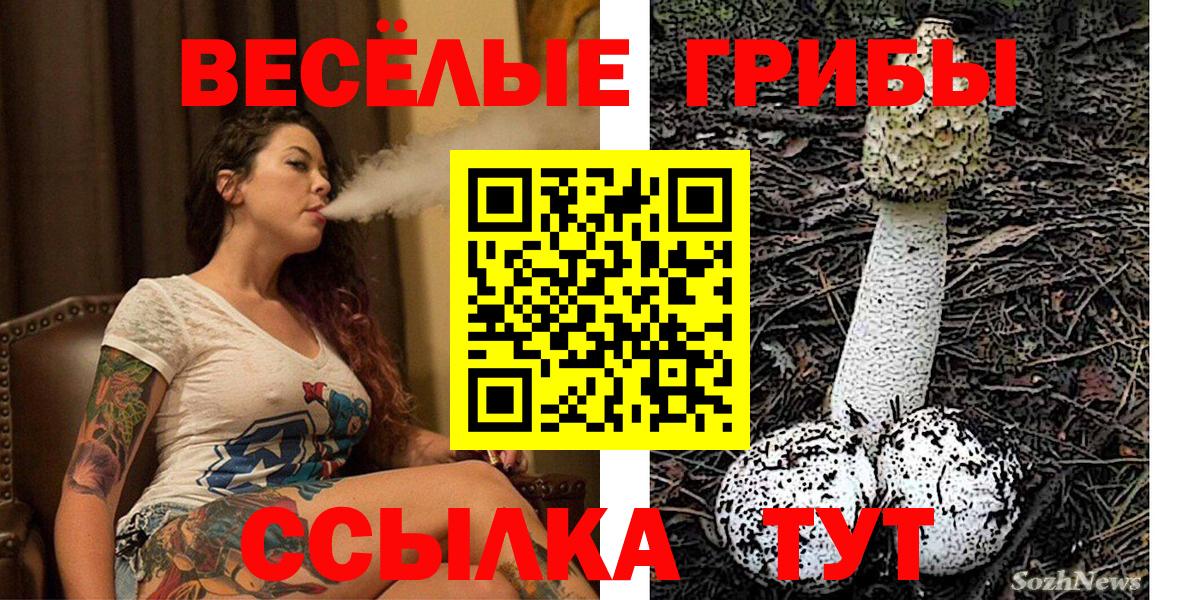 Псилоцибиновые грибы Psilocybine cubensis  Вход с VPN  Чебаркуль 